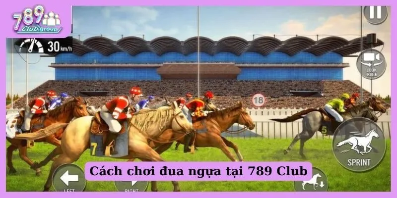 Hướng dẫn cách chơi đua ngựa tại 789 Club