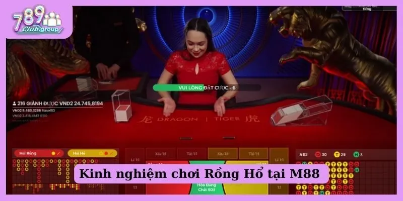 Kinh nghiệm chơi Rồng Hổ M88 nắm chắc thắng lợi
