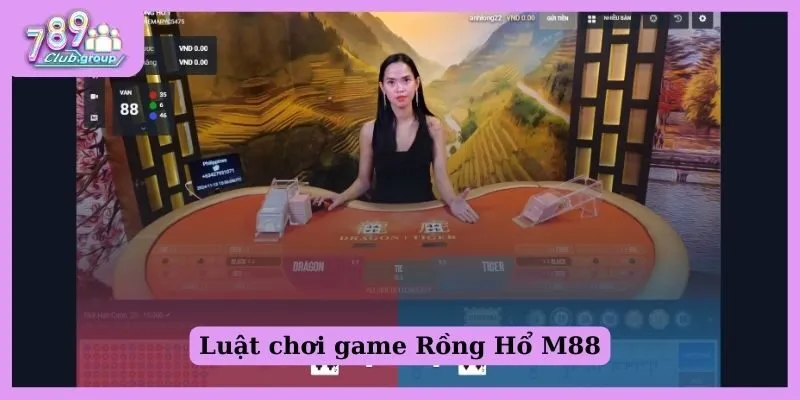 Luật chơi Rồng Hổ M88 cơ bản cho người mới